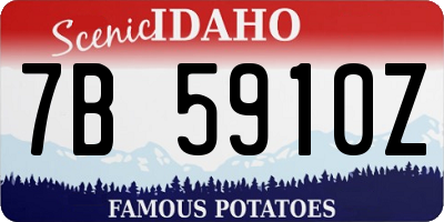 ID license plate 7B5910Z