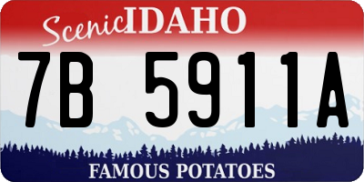 ID license plate 7B5911A