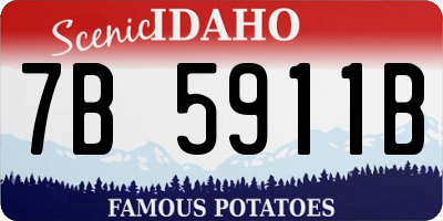 ID license plate 7B5911B