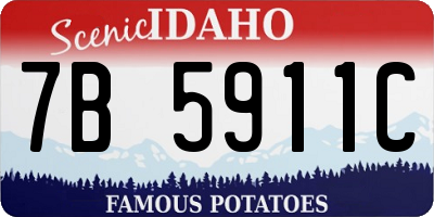 ID license plate 7B5911C
