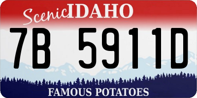 ID license plate 7B5911D