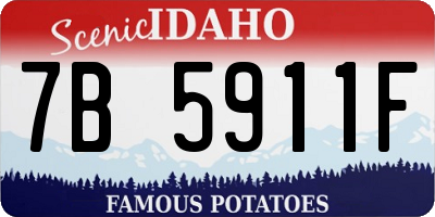 ID license plate 7B5911F