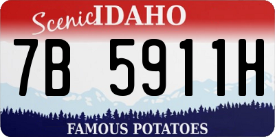 ID license plate 7B5911H