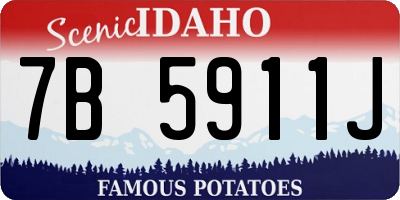 ID license plate 7B5911J