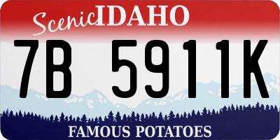 ID license plate 7B5911K