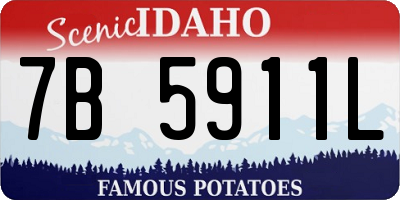 ID license plate 7B5911L