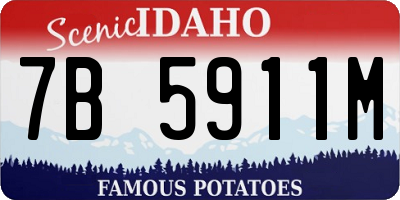 ID license plate 7B5911M