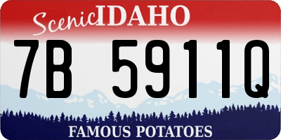 ID license plate 7B5911Q