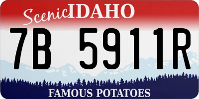 ID license plate 7B5911R