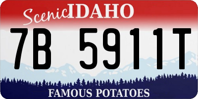 ID license plate 7B5911T