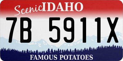 ID license plate 7B5911X