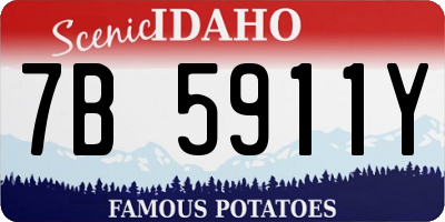 ID license plate 7B5911Y