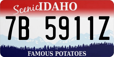 ID license plate 7B5911Z