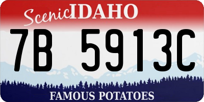 ID license plate 7B5913C