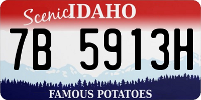 ID license plate 7B5913H