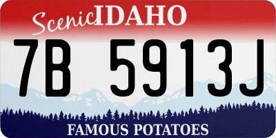 ID license plate 7B5913J