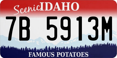 ID license plate 7B5913M