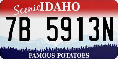 ID license plate 7B5913N