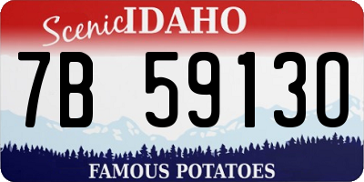ID license plate 7B5913O