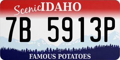 ID license plate 7B5913P