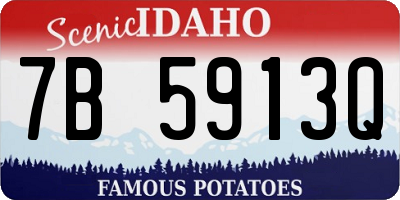 ID license plate 7B5913Q