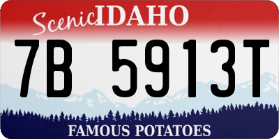 ID license plate 7B5913T