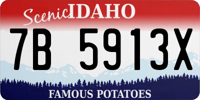 ID license plate 7B5913X