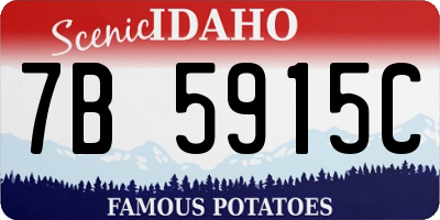 ID license plate 7B5915C