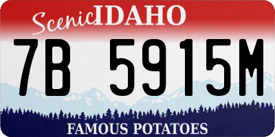 ID license plate 7B5915M