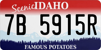 ID license plate 7B5915R