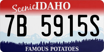 ID license plate 7B5915S