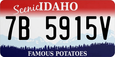 ID license plate 7B5915V