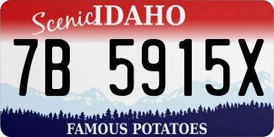 ID license plate 7B5915X