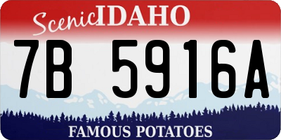 ID license plate 7B5916A