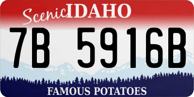 ID license plate 7B5916B
