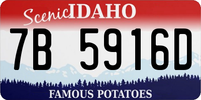 ID license plate 7B5916D