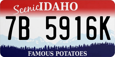 ID license plate 7B5916K