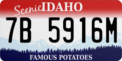 ID license plate 7B5916M