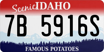 ID license plate 7B5916S