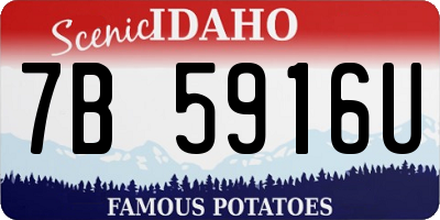 ID license plate 7B5916U