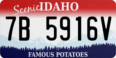 ID license plate 7B5916V