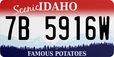 ID license plate 7B5916W