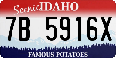 ID license plate 7B5916X