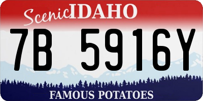 ID license plate 7B5916Y