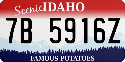 ID license plate 7B5916Z