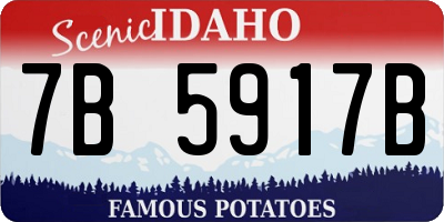 ID license plate 7B5917B