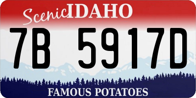 ID license plate 7B5917D