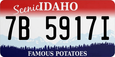 ID license plate 7B5917I