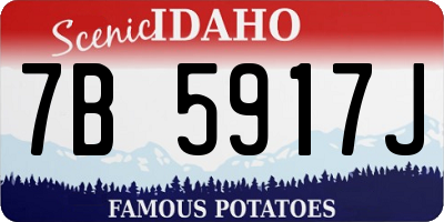 ID license plate 7B5917J
