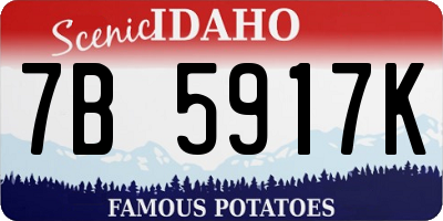 ID license plate 7B5917K